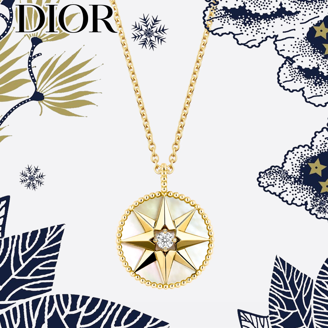 16062054584557143407581820_1 【高品質】【国内発送/直営店】ネックレス ROSE DES VENTS メダリオン - 画像 (1)