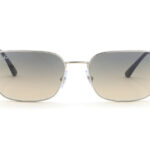 Ray-Ban(レイバン) RB 3684-003/32ポリッシュシルバー(58)
