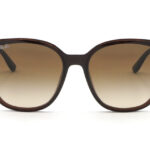 Ray-Ban(レイバン) RB 4423D-714/13ブラウン(66)
