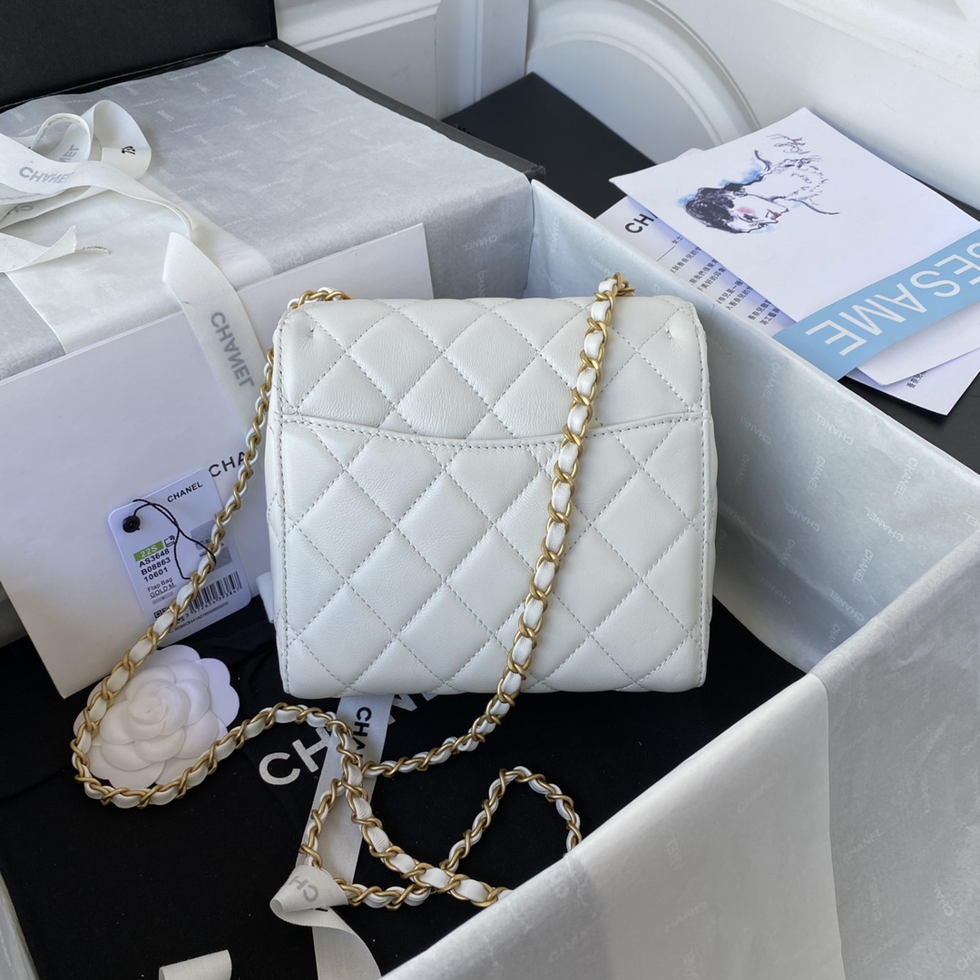 16071854961529966229031820_1 シャネル/CHANEL MINI FLAP BAG AS3648 63 - 画像 (1)