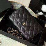シャネル/CHANEL WALLET ON CHAIN A33814