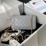 シャネル/CHANEL mini flap bag AS17874