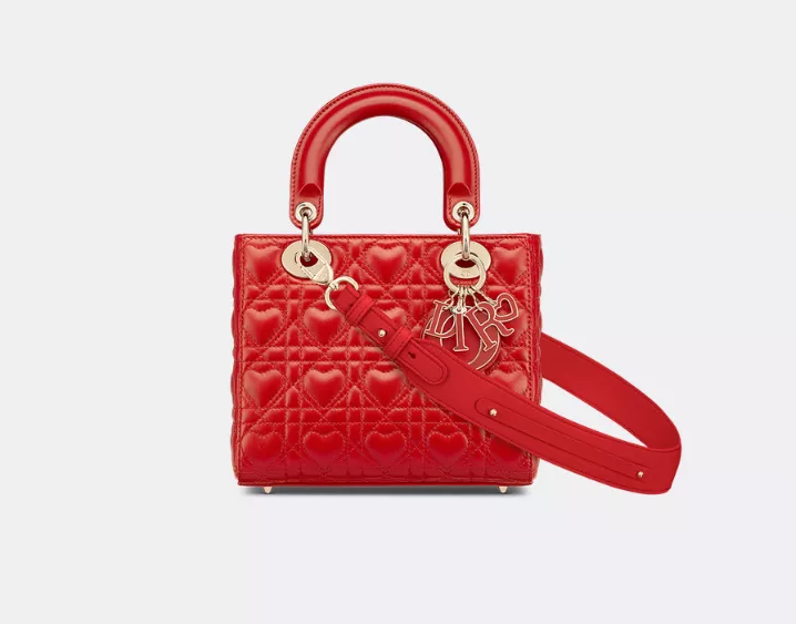 16071855256149623244511820_1 MY ABC LADY ディオール バッグ - 画像 (1)