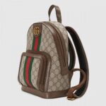 GUCCI(グッチ) 〔オフィディア〕GG スモール バックパック