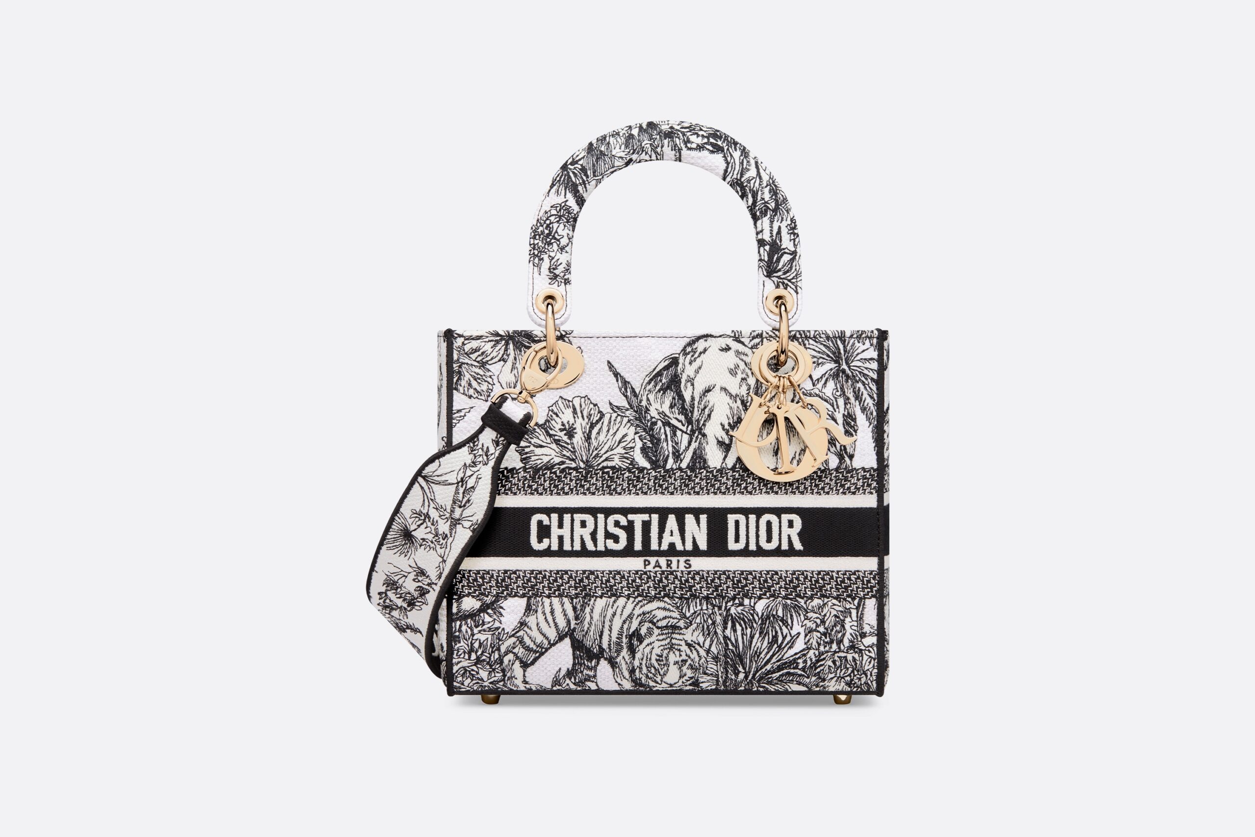 16071887218430703485521820_1 新作 LADY D-LITE バッグ ミディアム 超人気 - 画像 (1)