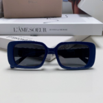 2024 Dior Sunglass · ディオール サングラス