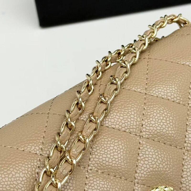 【AT10220】ChanelのクラシックなWOCシリーズショルダーバッグ - 豪華なアプリコットカラーの羊革 - 女性のユニークな気質を演出する | Chanel