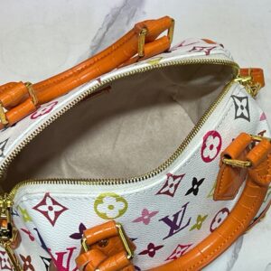 【AT11154】ルイヴィトン Speedy 20 レインボーモノグラムハンドバッグ 豪華なカラフルデザイン | Louis Vuitton