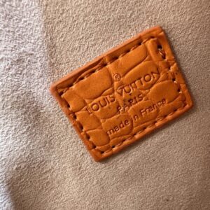 【AT11154】ルイヴィトン Speedy 20 レインボーモノグラムハンドバッグ 豪華なカラフルデザイン | Louis Vuitton