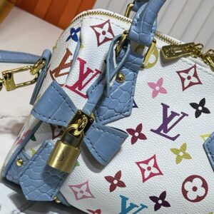 【AT11155】ルイ・ヴィトン Speedy レインボーハンドバッグ - 軽量でカラフルなファッションアートアイテム | Louis Vuitton Paris