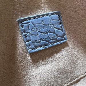 【AT11155】ルイ・ヴィトン Speedy レインボーハンドバッグ - 軽量でカラフルなファッションアートアイテム | Louis Vuitton Paris