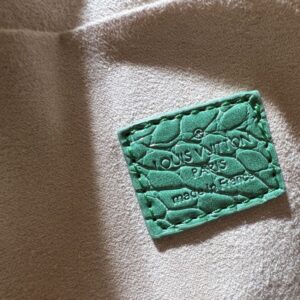 【AT11158】ルイ・ヴィトン x 村上隆コラボ レインボーSpeedyバッグ（Rainbow Speedy Bag） | LV