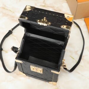 【AT8724】ルイ・ヴィトンのカメラボックスハンドバッグ-  最高級の芸術品 | Louis Vuitton Paris