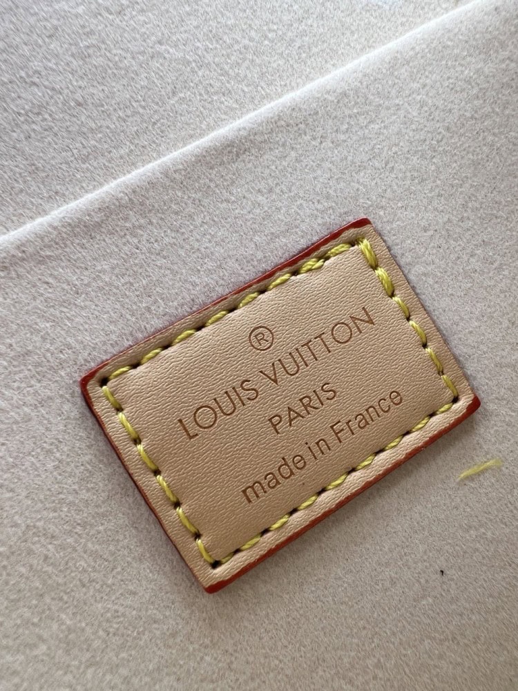 【AT8738】ルイ・ヴィトンのDauphine Soft GMシリーズの高級ハンドバッグ | Louis Vuitton Malletier