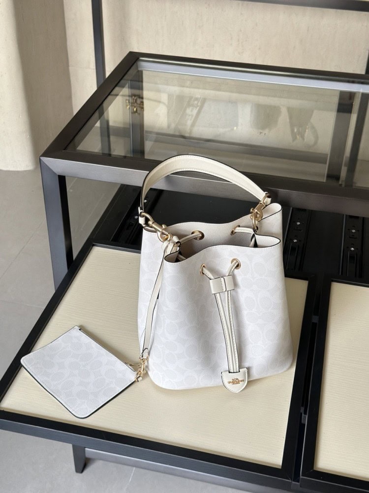 【AT9322】Coach クラシックなグレーシャーホワイトバケットバッグ | Coach