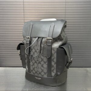 【AT9417】COACH（コーチ）ハドソンシリーズ: 都会のエリートにふさわしいエレガントなグレーリュック | Coach